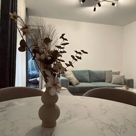 Blagojevic * بييلينا