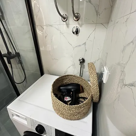 公寓 Blagojevic 比耶利纳