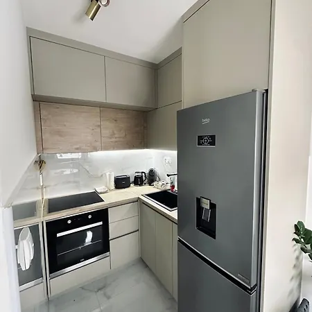 Blagojevic * 比耶利纳