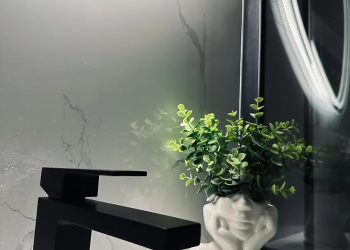 Blagojevic * 比耶利纳