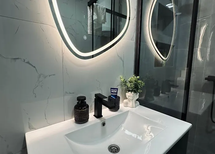 公寓 Blagojevic 比耶利纳