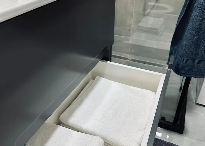 Blagojevic * 比耶利纳