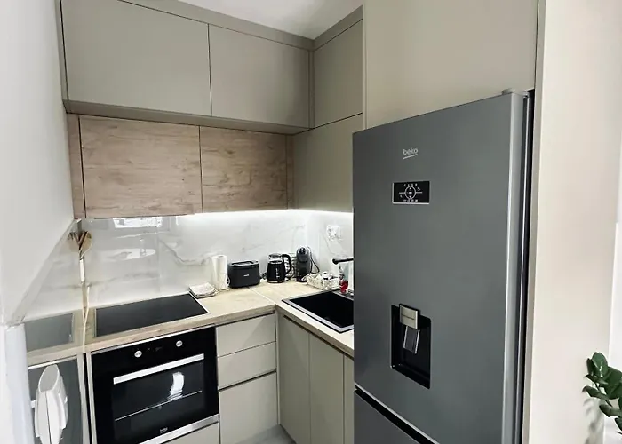 Blagojevic * 比耶利纳