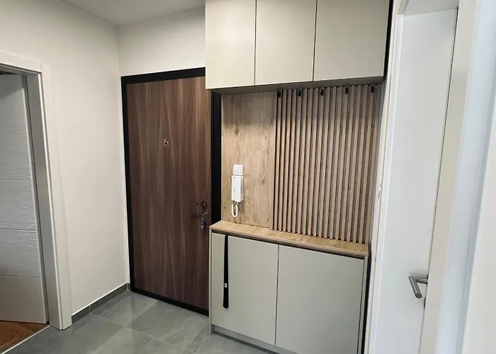 Blagojevic 比耶利纳